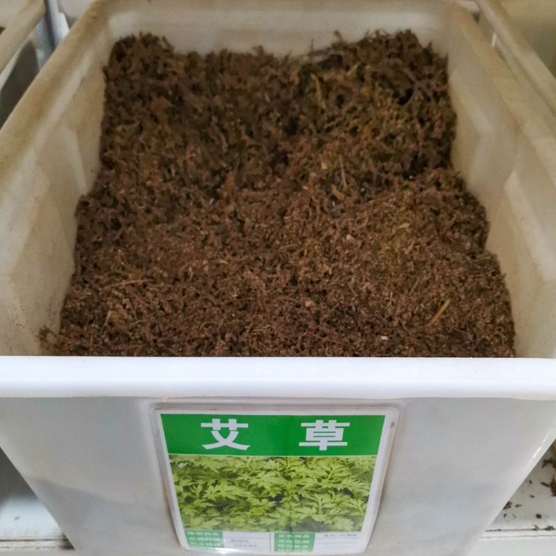 【正宗】全新艾草种子大叶艾草大白艾提供种植技术指导