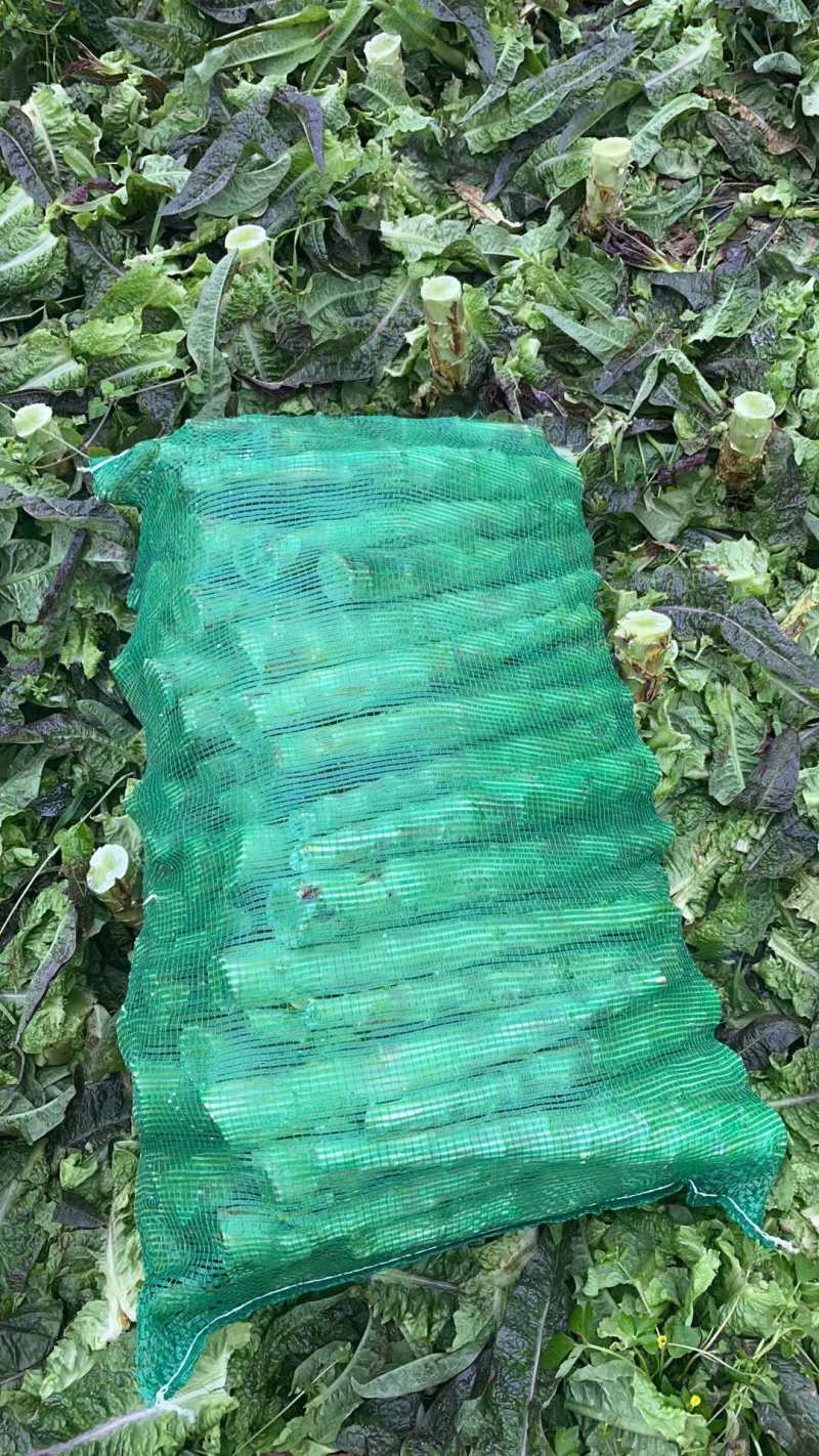 精品莴笋杆子，走市场电商工厂，大量有货，产地出品