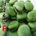 蚕豆种子特大高产大粒罗汉豆种籽春秋冬季播种早熟耐寒本地胡