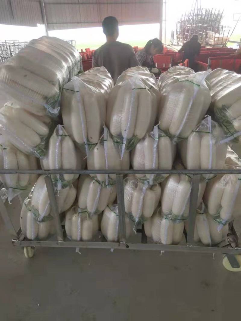 水洗白萝卜散装打包有冷库，一次合作终身朋友