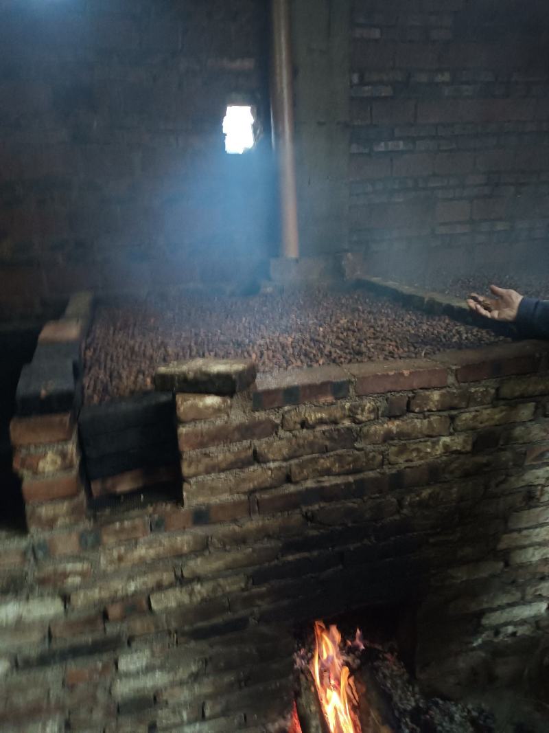 油茶籽（正宗老树油茶籽）
