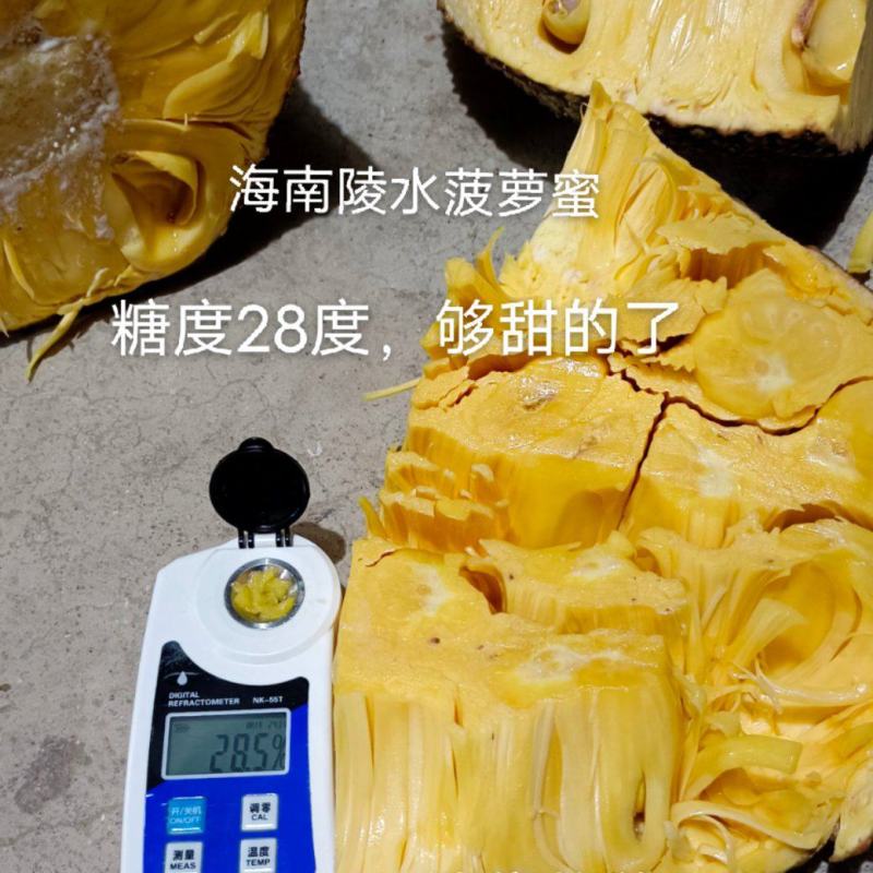 大量上市海南陵水产地1号菠萝蜜，好品质香甜爽口，价格实惠