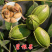 碧根果核桃苗盆栽地栽南北方种植当年结果大苗嫁接核桃树苗