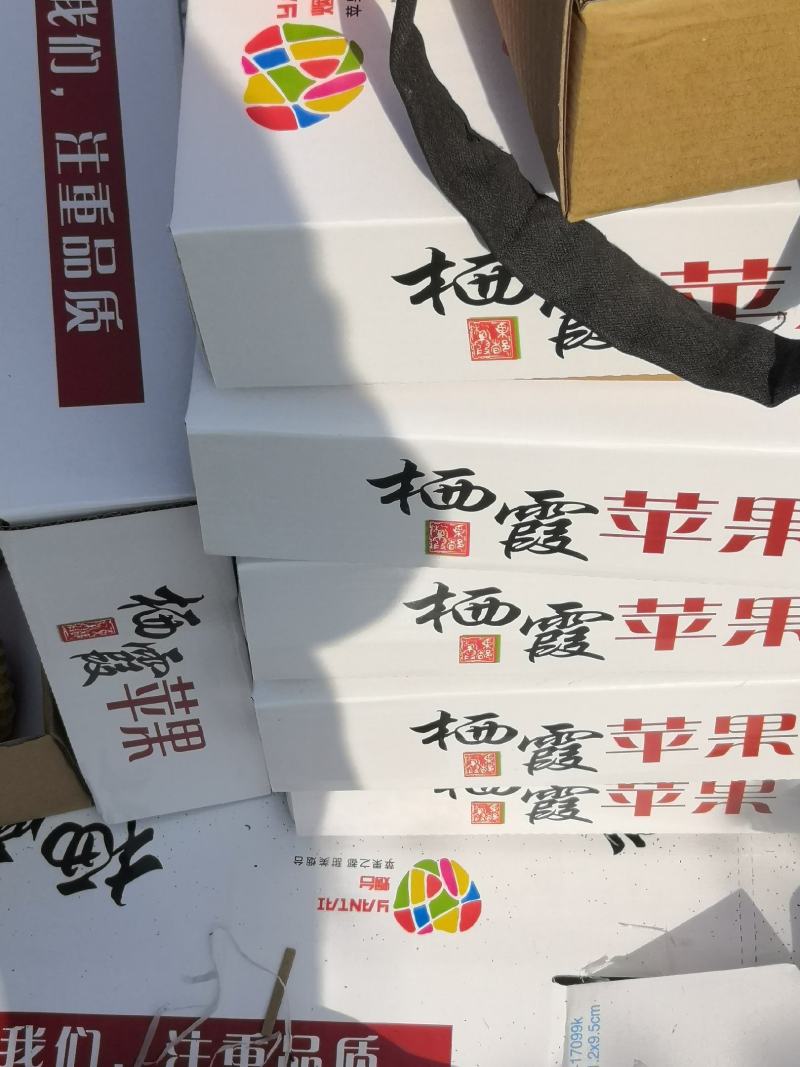 烟台栖霞苹果，脆甜鲜果，产地直发，诚信合作