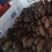 聊城平菇产区大量上市量大从优，需要的老板联系我