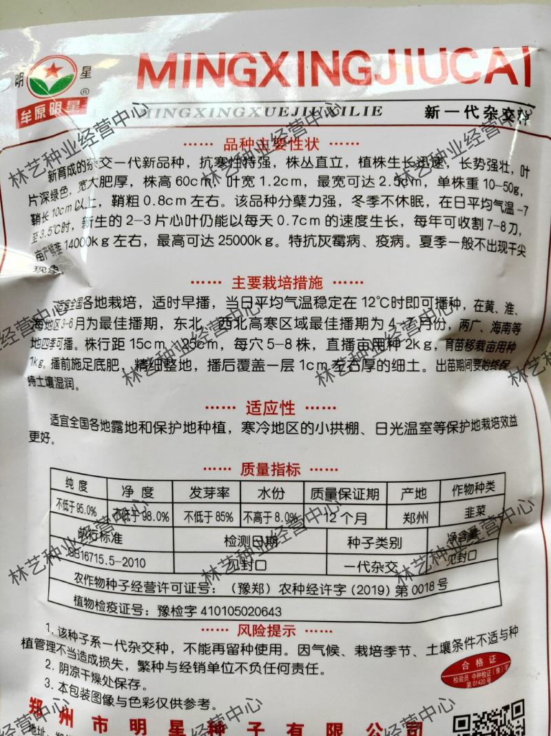 明星冬圣雪韭9号韭菜种子叶大肥宽冬春种植保护地用