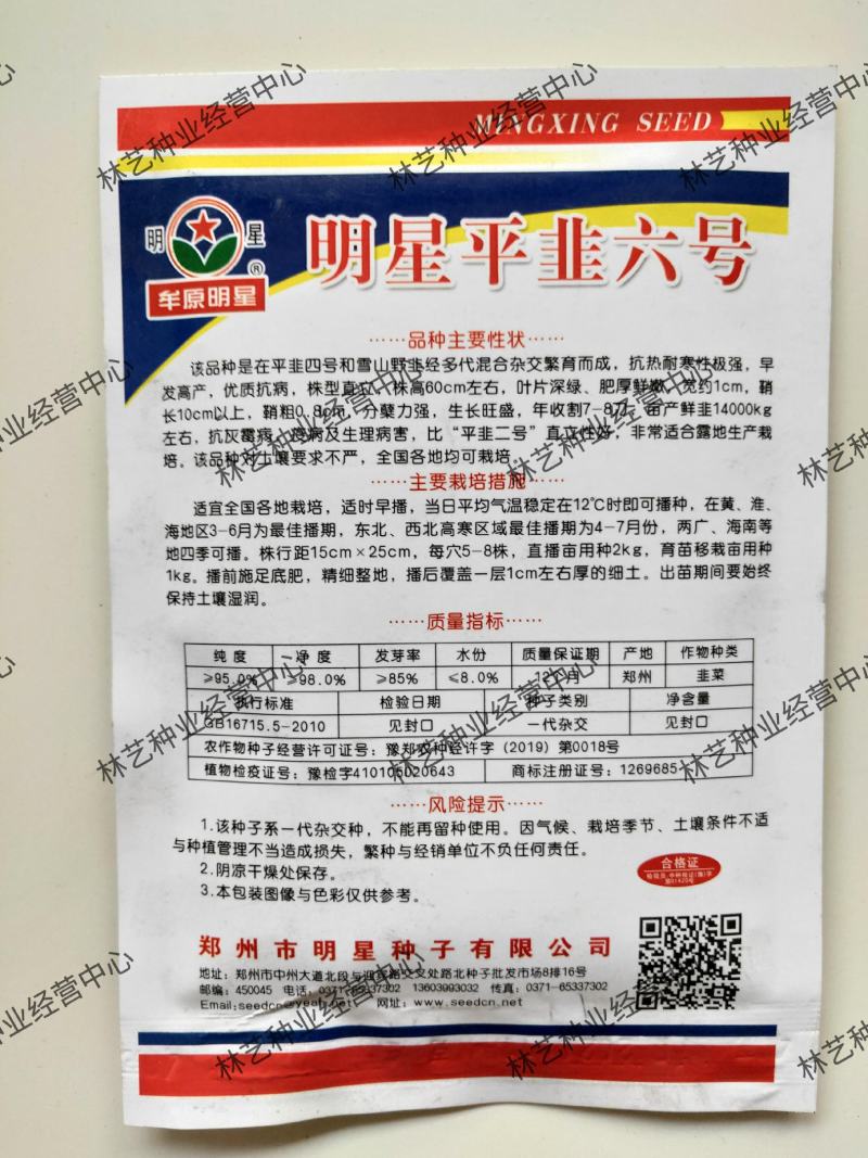 平韭6号种子四季不休眠韭菜冬季阳台盆栽种籽冬天可以种植