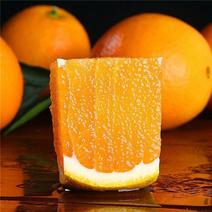 宜昌秭归脐橙大量走货，汁水充足含糖度高，欢迎采购
