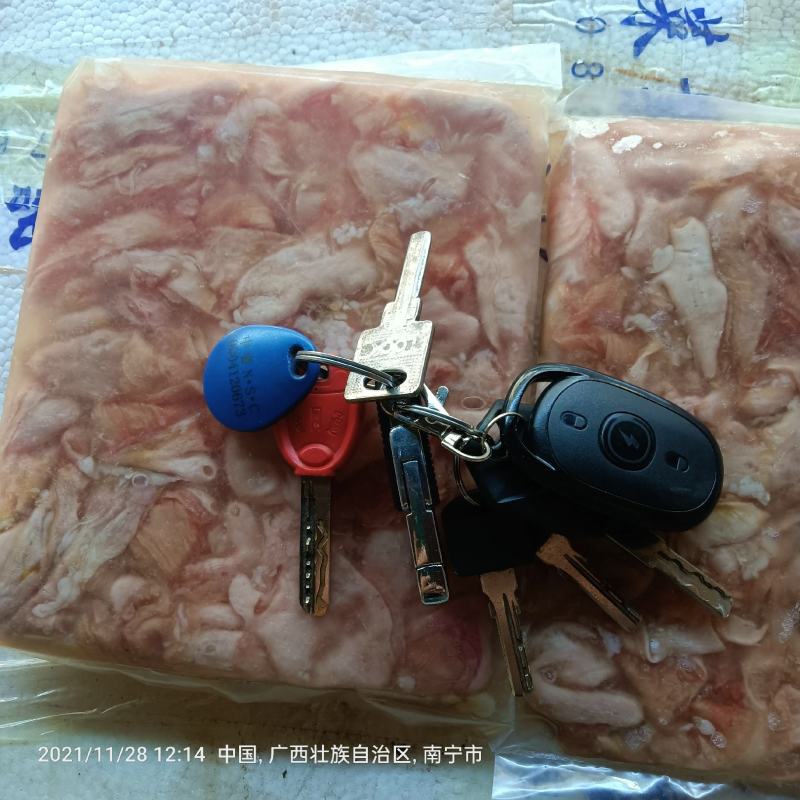 长期供应批发5斤装冻板清江鱼鮰鱼原料鱼泡。