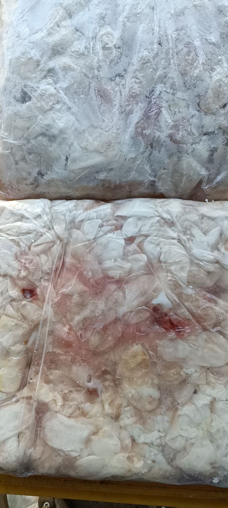 长期供应批发5斤装冻板清江鱼鮰鱼原料鱼泡。