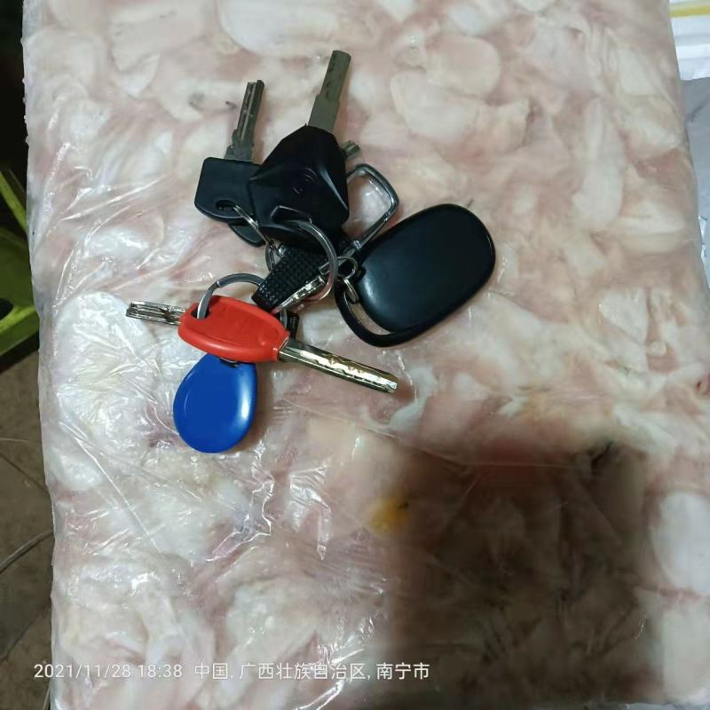 长期供应批发5斤装冻板清江鱼鮰鱼原料鱼泡。