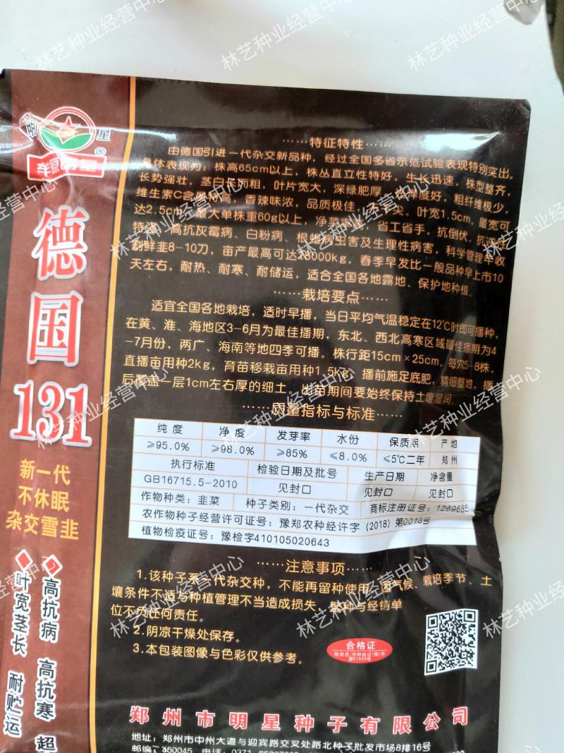 多年生德国131韮菜籽韭菜种子盆栽不休眠四季蔬菜