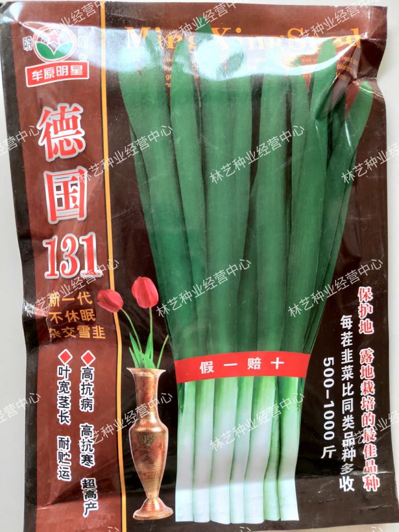 多年生德国131韮菜籽韭菜种子盆栽不休眠四季蔬菜
