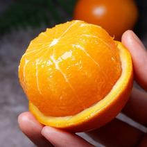 重庆奉节纯甜脐橙大量走货，含糖度高15度，口感好欢迎采购