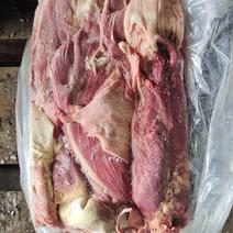 锡盟本地牛护心肉，2吨现货，支持一件样品发货，全国接单中