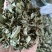 【花椒辅料】可单独销售/配货