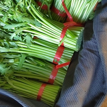 优质山东茼蒿质量保障视频看货诚信为本欢迎来电