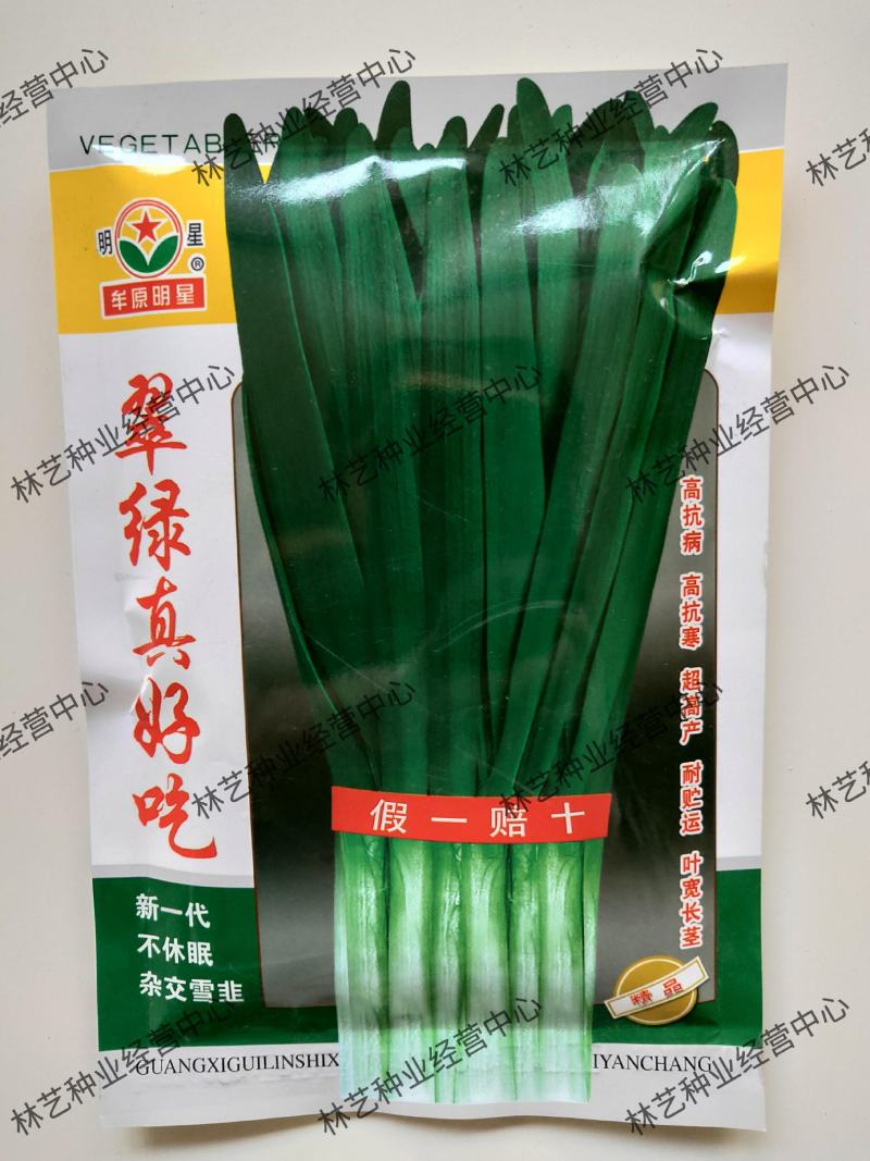 翠绿真好吃韭菜种子白根韭菜籽高产耐寒耐热阳台农家庭院