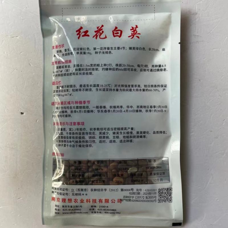 红花白荚四季豆种子，早熟，蔓生，嫩荚绿白色，长20cm