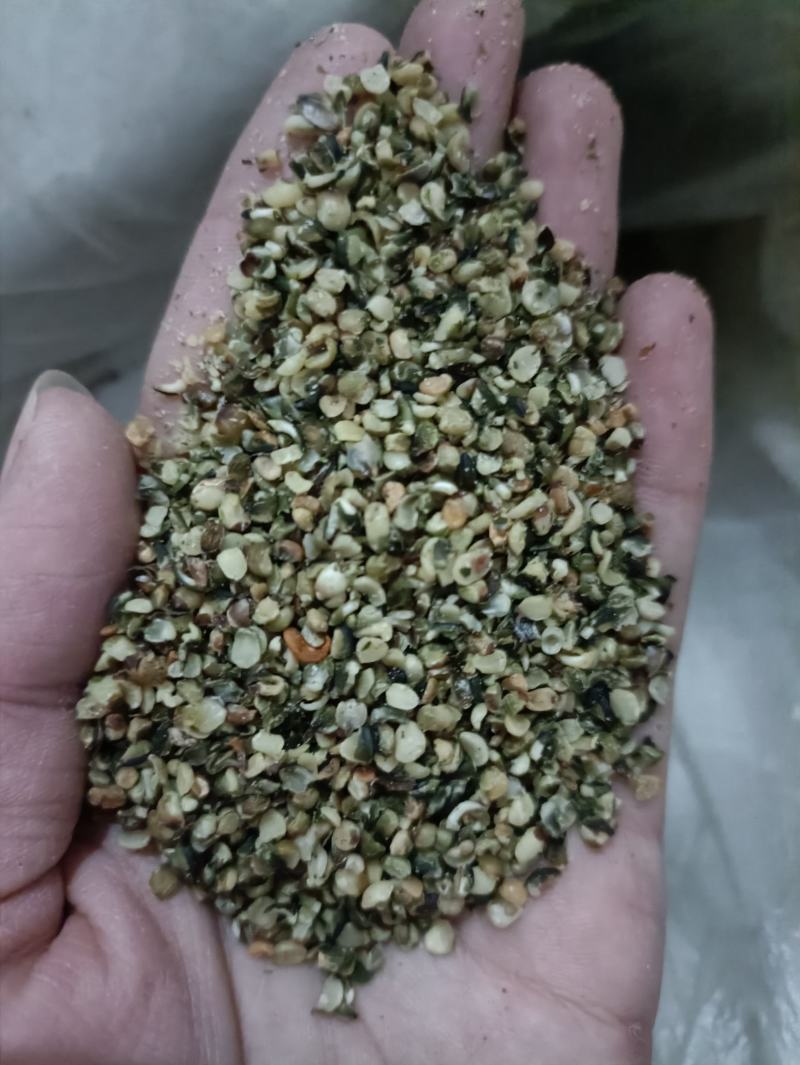 火麻仁去壳火麻仁净麻仁新货产地直销