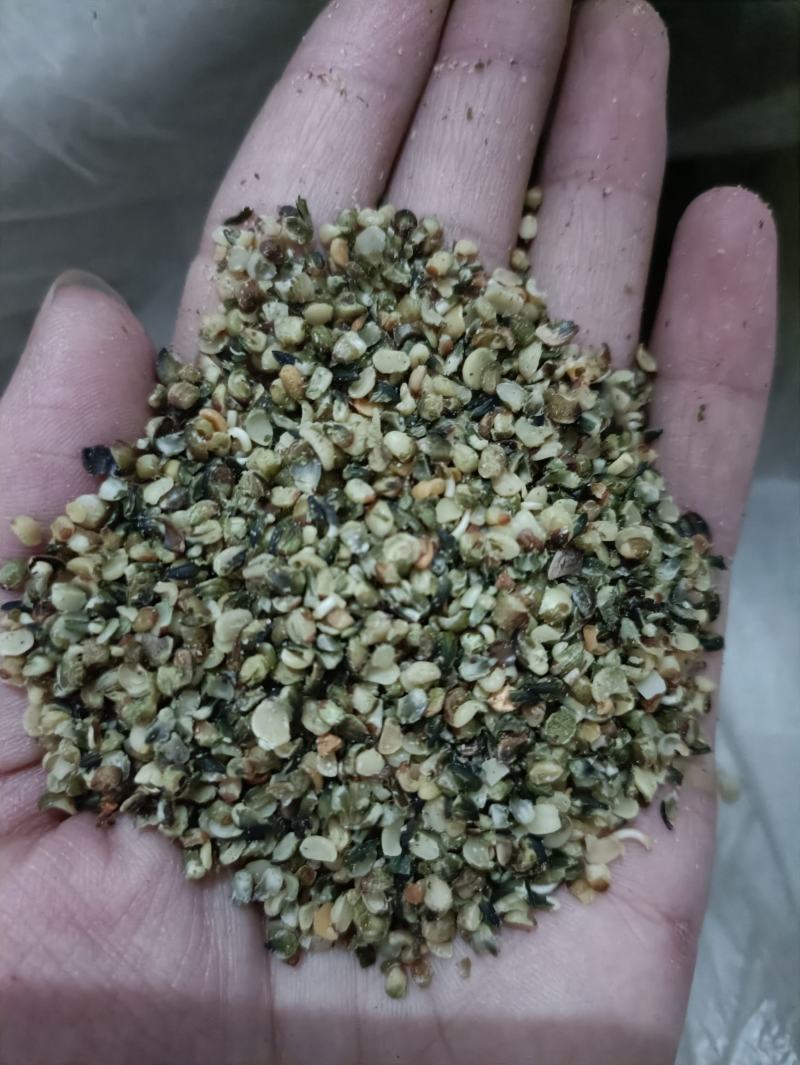 火麻仁去壳火麻仁净麻仁新货产地直销