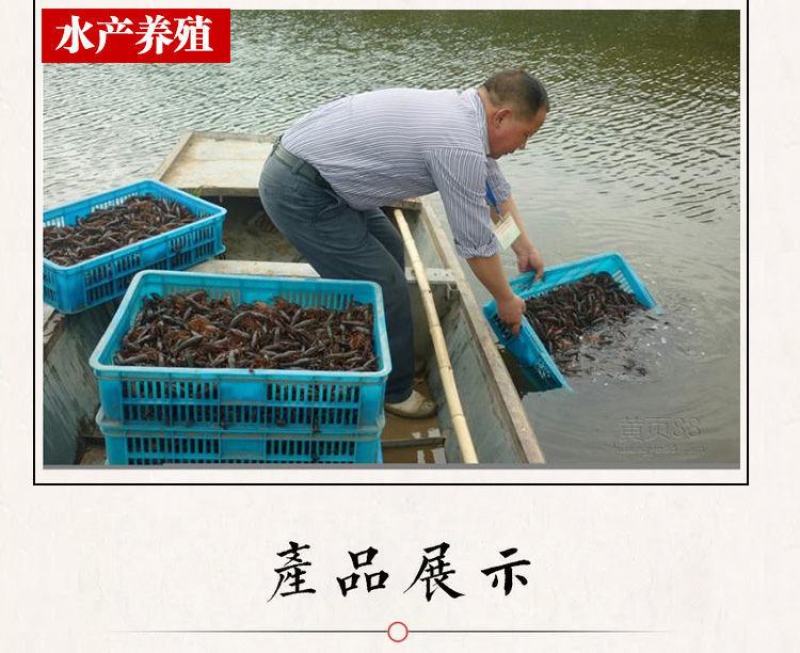 兽用养殖红糖批发牛羊用猪正宗补气血养生畜牧散装特价家用实