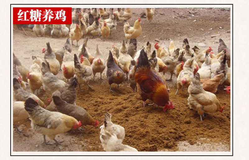兽用养殖红糖批发牛羊用猪正宗补气血养生畜牧散装特价家用实