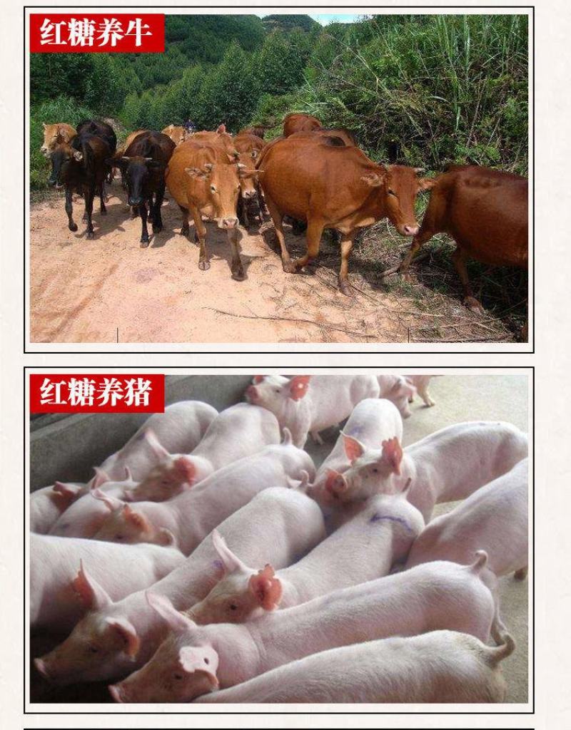 兽用养殖红糖批发牛羊用猪正宗补气血养生畜牧散装特价家用实