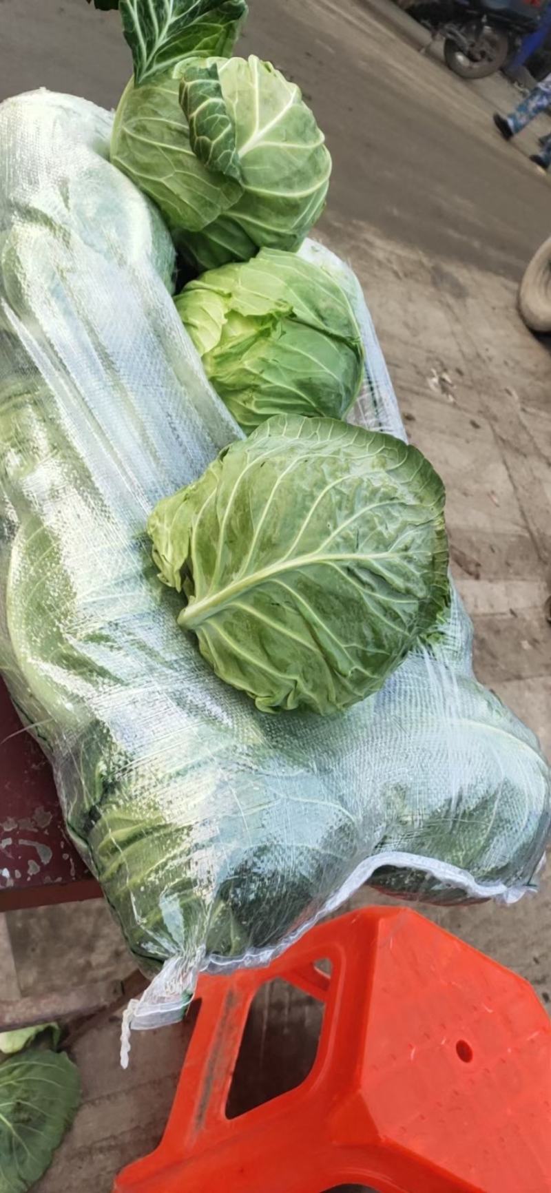 精品甘蓝包菜直供商超批发市场，各种包装，量大从优，电商货