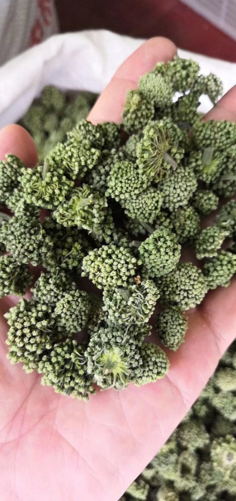 云南文山三七花