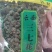 云南文山三七花