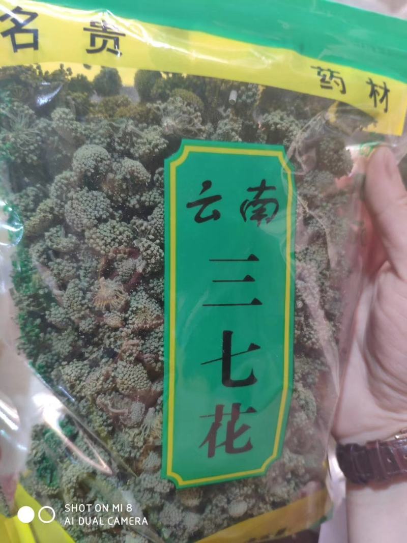 云南文山三七花