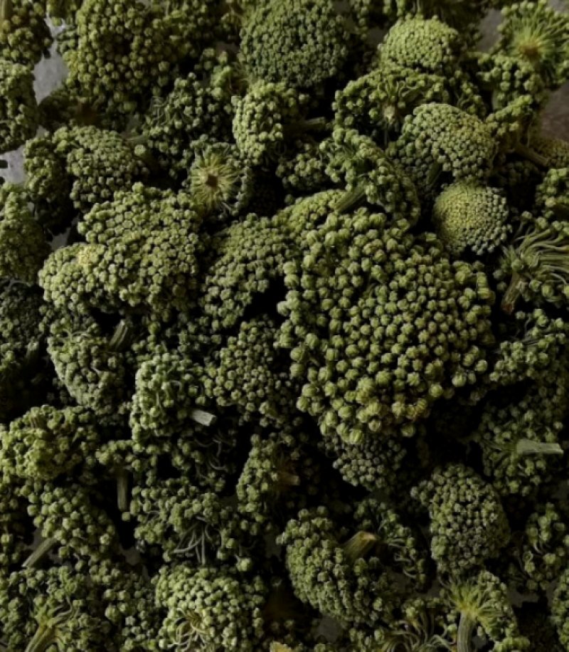 云南文山三七花