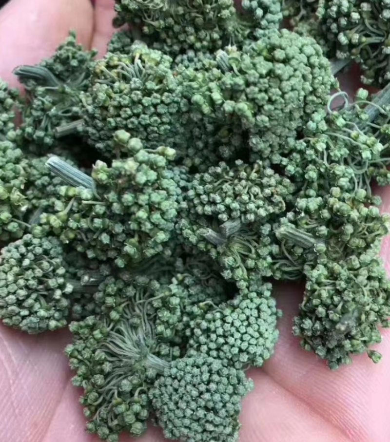 云南文山三七花