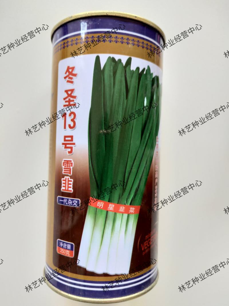 雪韭十三号韭菜种子高产四季宽叶白根割茬韭菜种籽耐寒抗病