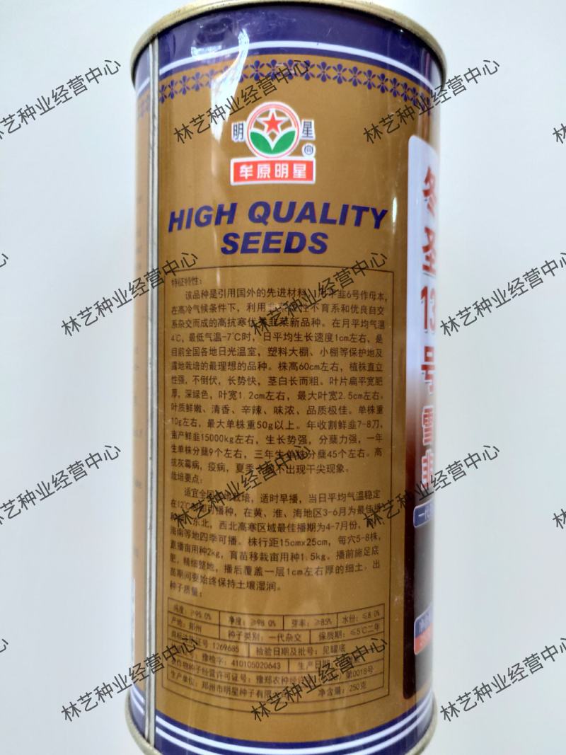雪韭十三号韭菜种子高产四季宽叶白根割茬韭菜种籽耐寒抗病