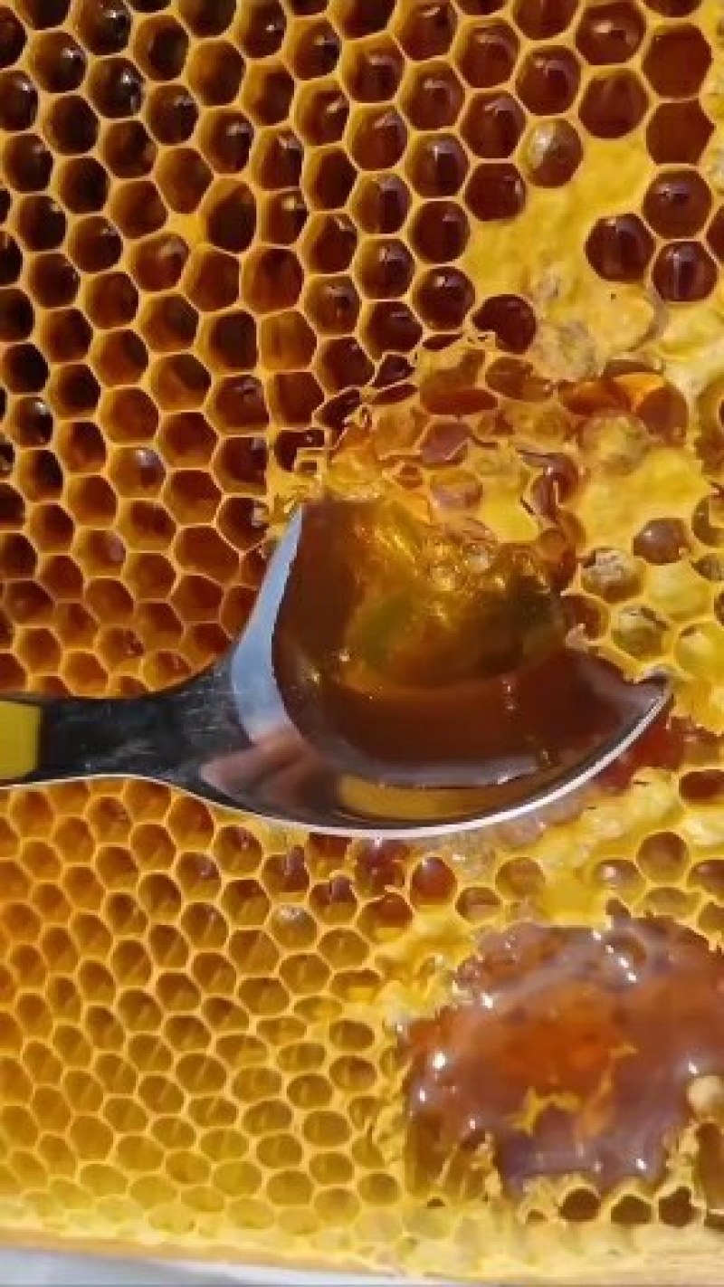 土蜂蜜