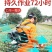 包邮绿篱机汽油剪茶机采茶修剪树枝茶树茶叶修剪机粗枝