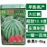 【特惠】精品8424西瓜种子早熟薄皮耐裂红瓤麒麟新疆