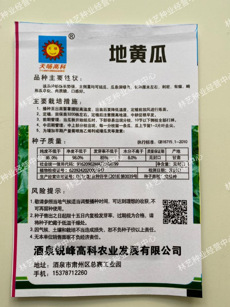 无架地黄瓜种子爬满地节节瓜春秋种植四季水果蔬菜旱黄瓜种