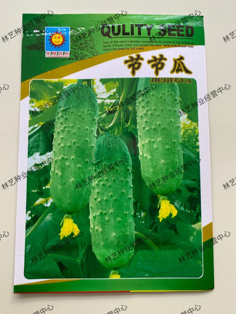 水果黄瓜种子节节瓜小黄瓜地栽春阳台盆栽菜子农家蔬菜种子