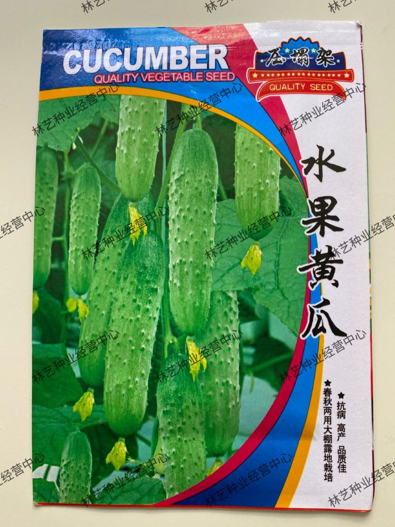 水果黄瓜种子摘不败节节瓜地栽阳台盆栽高产四季播种农家蔬菜
