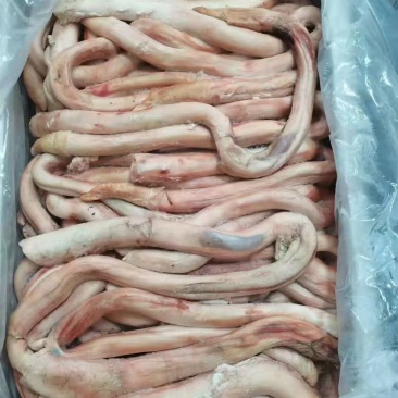 精修无肉头牛鞭