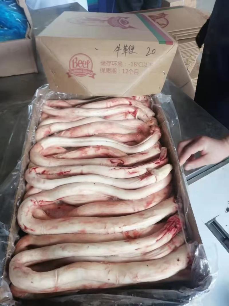精修无肉头牛鞭