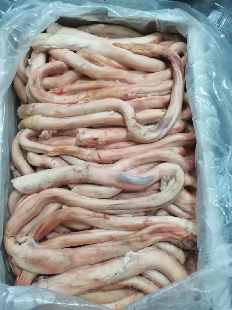 精修无肉头牛鞭