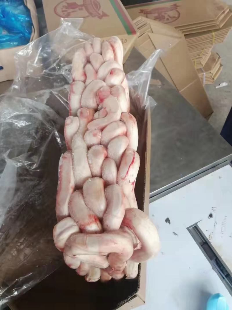 精修无肉头牛鞭