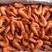 薄冰红虾国产超大新鲜冷冻海鲜水产大虾对虾白灼虾餐饮商用虾