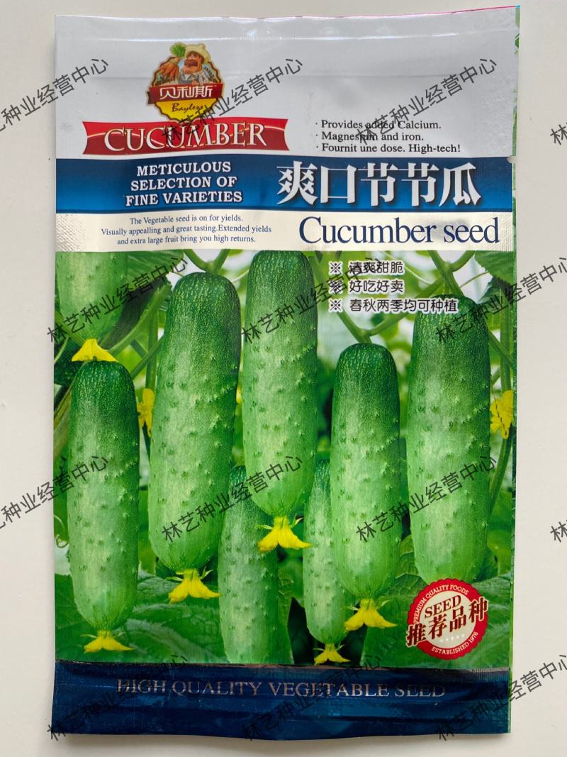爽口水果黄瓜种子节节瓜四季高产无刺小黄瓜种籽阳台盆栽蔬菜