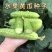 爽口水果黄瓜种子节节瓜四季高产无刺小黄瓜种籽阳台盆栽蔬菜