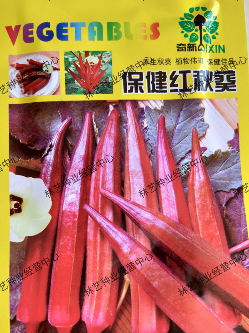 奶油红秋葵种子高产抗病蔬菜种籽农家庭院阳台盆栽春秋四季播